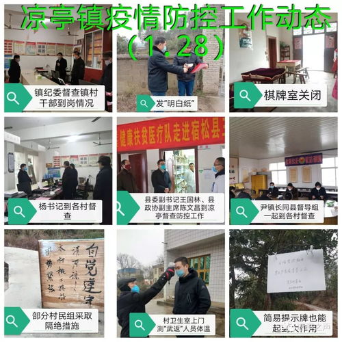涼亭鎮(zhèn)疫情防控 一張拼圖，一方平安——記涼亭鎮(zhèn)疫情防控工作動(dòng)態(tài)網(wǎng)頁設(shè)計(jì)